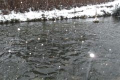 KODAK Digital Still Camera