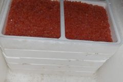 KODAK Digital Still Camera