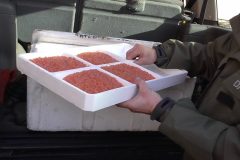 413846992_759432006206315_787931709008344704_n