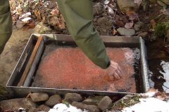 413847704_759431809539668_6607261427332896056_n