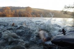 KODAK Digital Still Camera